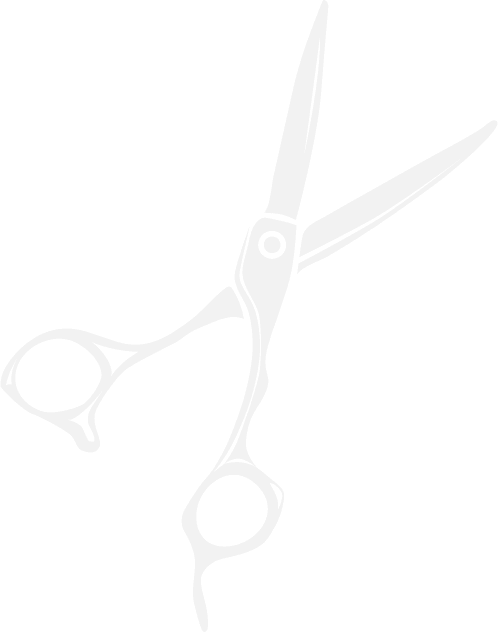 Decoración de fondo